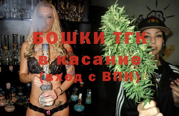 стафф Арсеньев