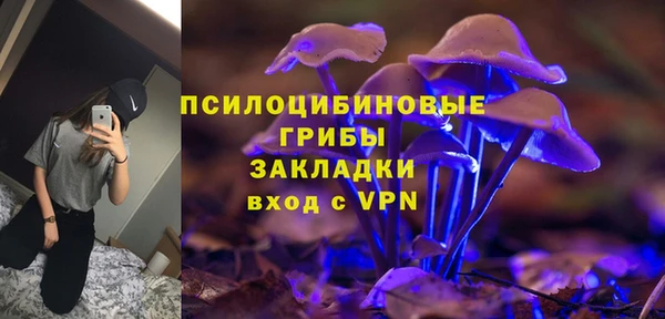 стафф Арсеньев