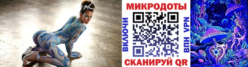 Галлюциногенные грибы Psilocybine cubensis  Унеча 