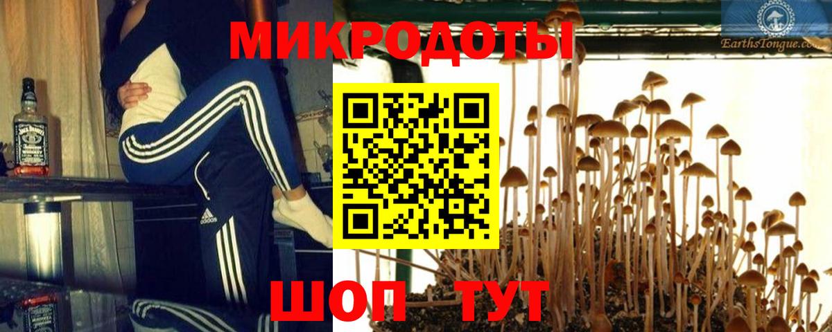 Унеча  Псилоцибиновые грибы ЛСД  Вход с VPN 