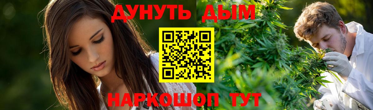 Бошки марихуана тримм  Марихуана THC 21%  Вход с VPN  Бошки Шишки марихуана  МАРИХУАНА планчик  Унеча 